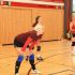 IMG 2549