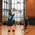 IMG 2596