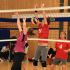 IMG 2786