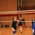 IMG 3042